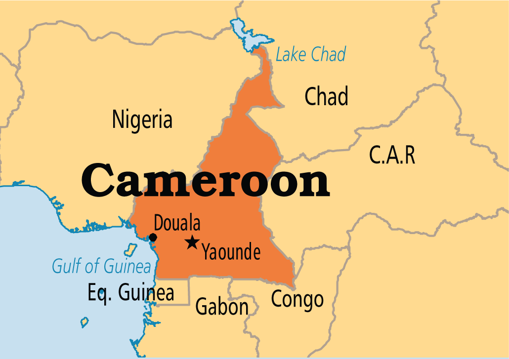  🇨🇲 Cameroun